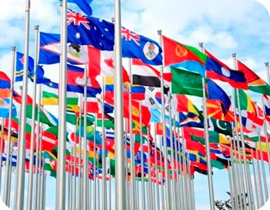 Большая группа ярких флагов стран, на вертикальных флагштоках на фоне голубого
неба.