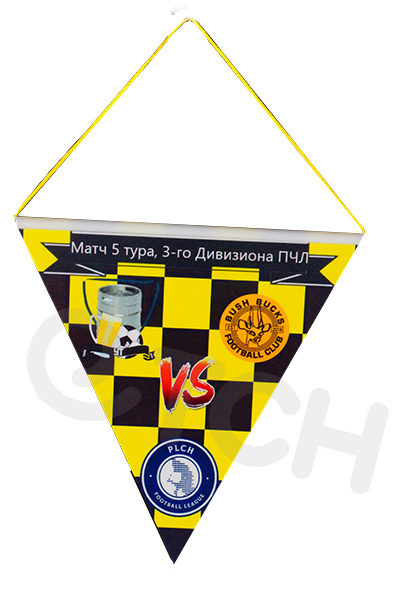 Картонный, ламинированный вымпел