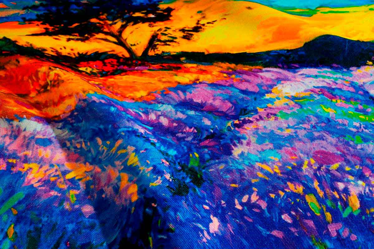 Макро-фото Поли оксфорда.