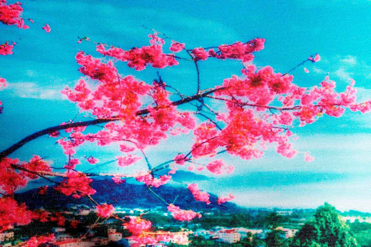 Макро-фото Декотекса.