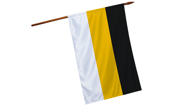 Фото знамени Российской Империи из шелка